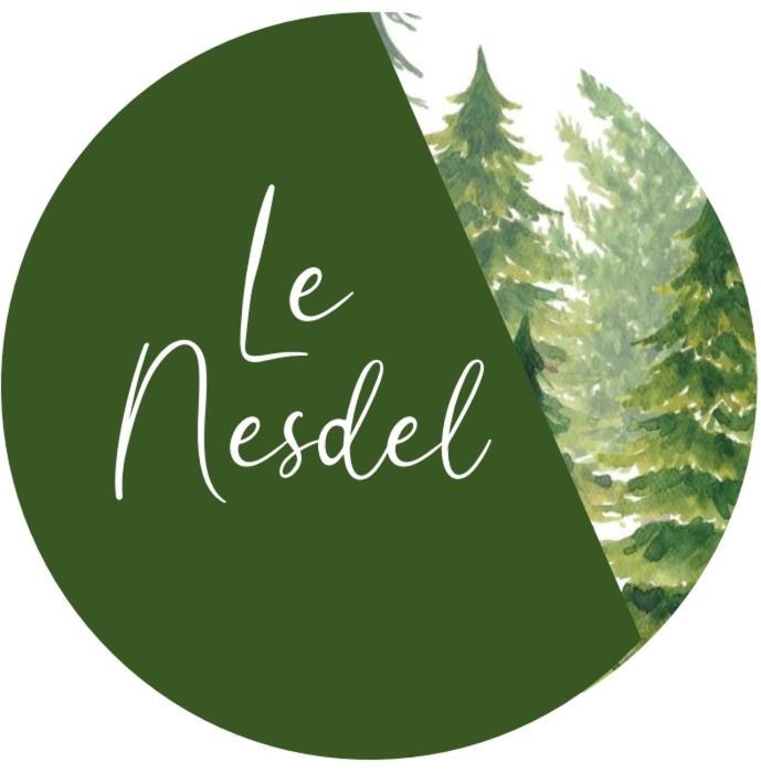 Le Nesdel Apartment Gérardmer Exterior photo